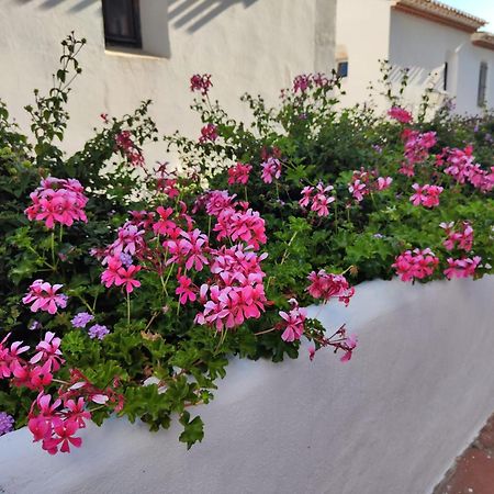 Dona Lola , Luminoso Apartamento Calahonda, Mijas Sitio de Calahonda Esterno foto