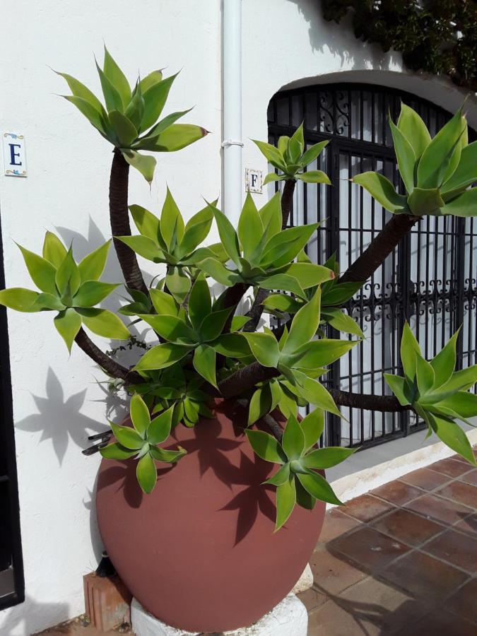 Dona Lola , Luminoso Apartamento Calahonda, Mijas Sitio de Calahonda Esterno foto