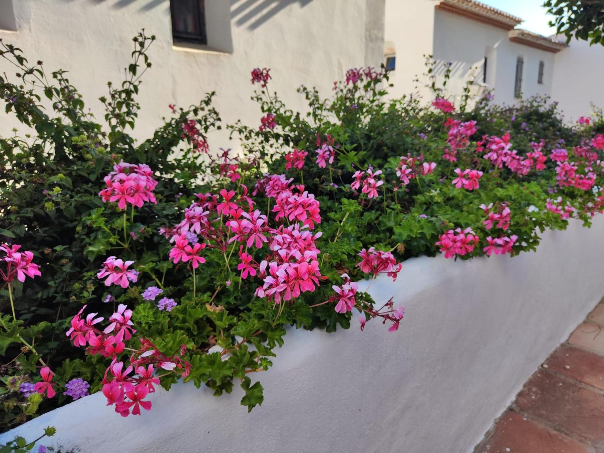 Dona Lola , Luminoso Apartamento Calahonda, Mijas Sitio de Calahonda Esterno foto